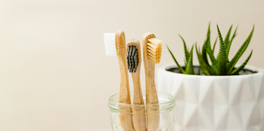 Toothbrush Development History
